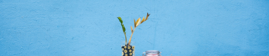 Teach Tip Tuesday @ educatingthedigitallearner.com